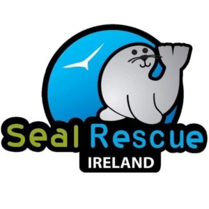 Vantastival Generation Hour with Indaver seal rescue