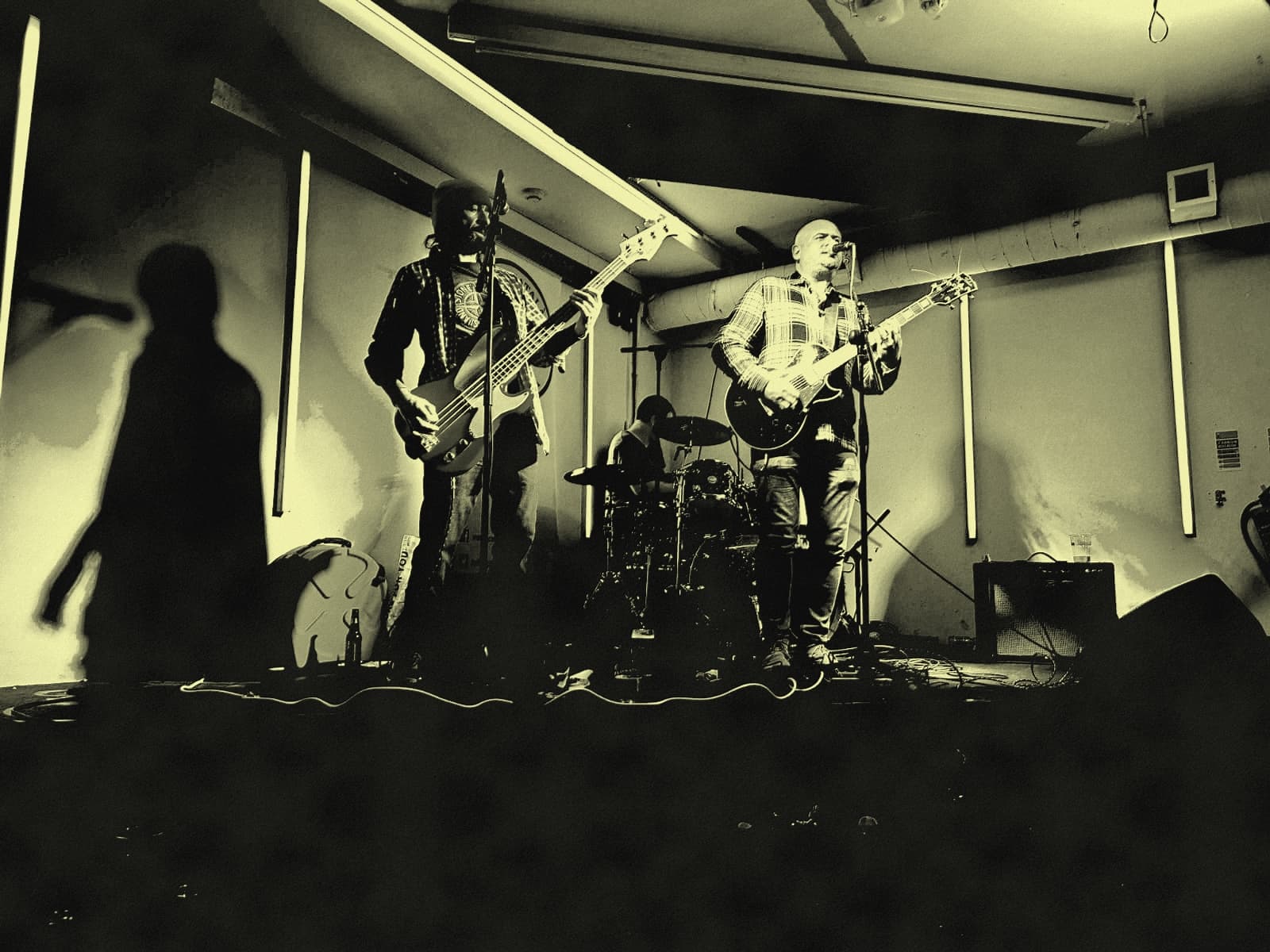 promo photo of Bulky Shanks band